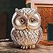 Artpaul Owl Decorations for Home Small Owl Decor Figurines Shelf Decor Home Office Living Room Decorations Birthday Gifts (Gold)