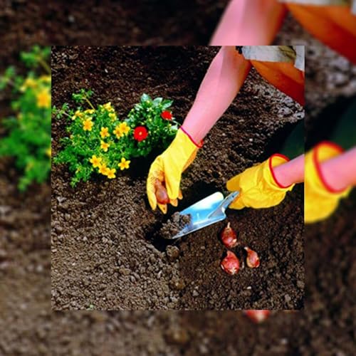 WOLF Garten WOLF-Garten Blumen Kelle, 28.8 x 8.3 x 6.9 cm