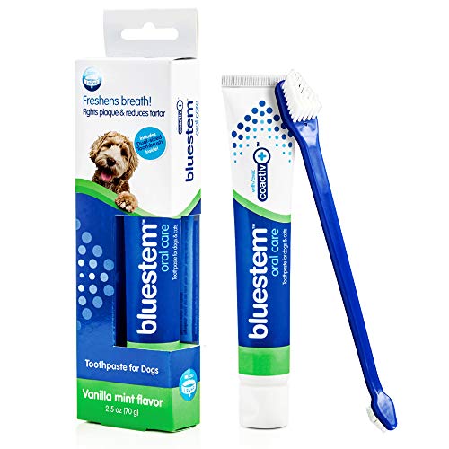 Dog Toothbrush and Toothpaste : Vanilla Mint Flavor Tooth Paste with Tooth Brush