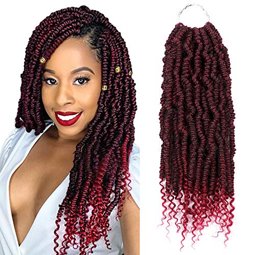Fani Fluffy Spring Twist Crochet Hair Pre-twisted Passion Twist Hair 4 Pack 14 Inch Ombre Burgundy Synthetic Braiding Hair Pre looped Crochet Hair for Women (T1B/BUG#)