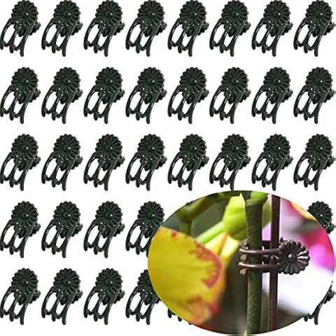 EESC2Y 40-PCs Orchid Clips for Plants Support - Dark Green, for Small - Middle Climbing Plants Vine Plants & Single Stem Plants Cover