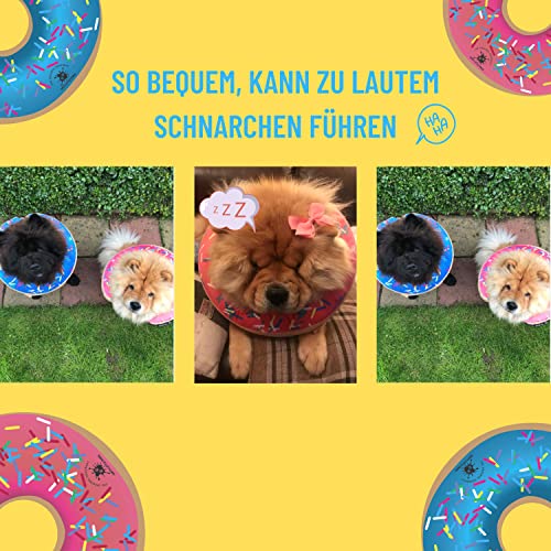 Aufblasbares Hundehalsband | Tolle Alternative zum Hundetrichter | Bequemes Genesungshalsband für große Hunde (Blau)