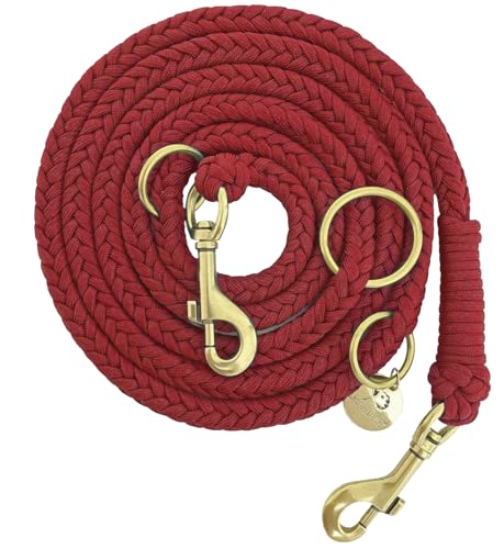Leisegrün Paracord Hundeleine 2m | Handgefertigte Leine 3-Fach verstellbar | Handmade für kleine und mittelgroße Hunde (Ruby, 2 m) | Farbe: Rot