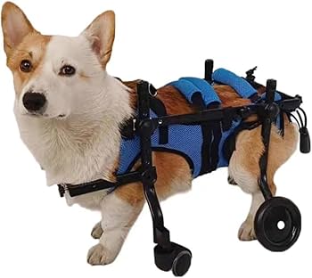 キャバリア4輪　リハビリ　食事補助　犬用車椅子　シニア犬補助　犬の歩行器 Amazon | Catonlifer 犬用車椅子 ペット/猫/犬カート 車椅子 サイズ