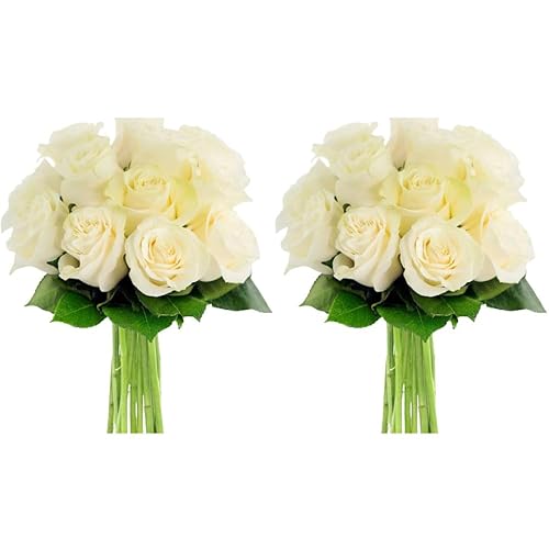 Miniatura 35 de KaBloom ENTREGA PRIMA AL DÍA SIGUIENTE - Colección Otoño - Ramo de 18 Rosas Naranja Frescas Cortadas (Frescas de Granja, Tallo Largo) con Jarrón.