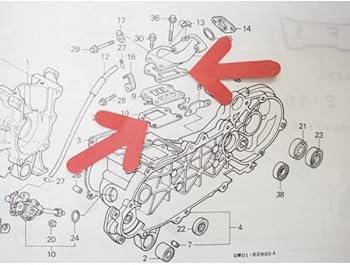 Amazon | マニアックコレクション（maniac collection） リード