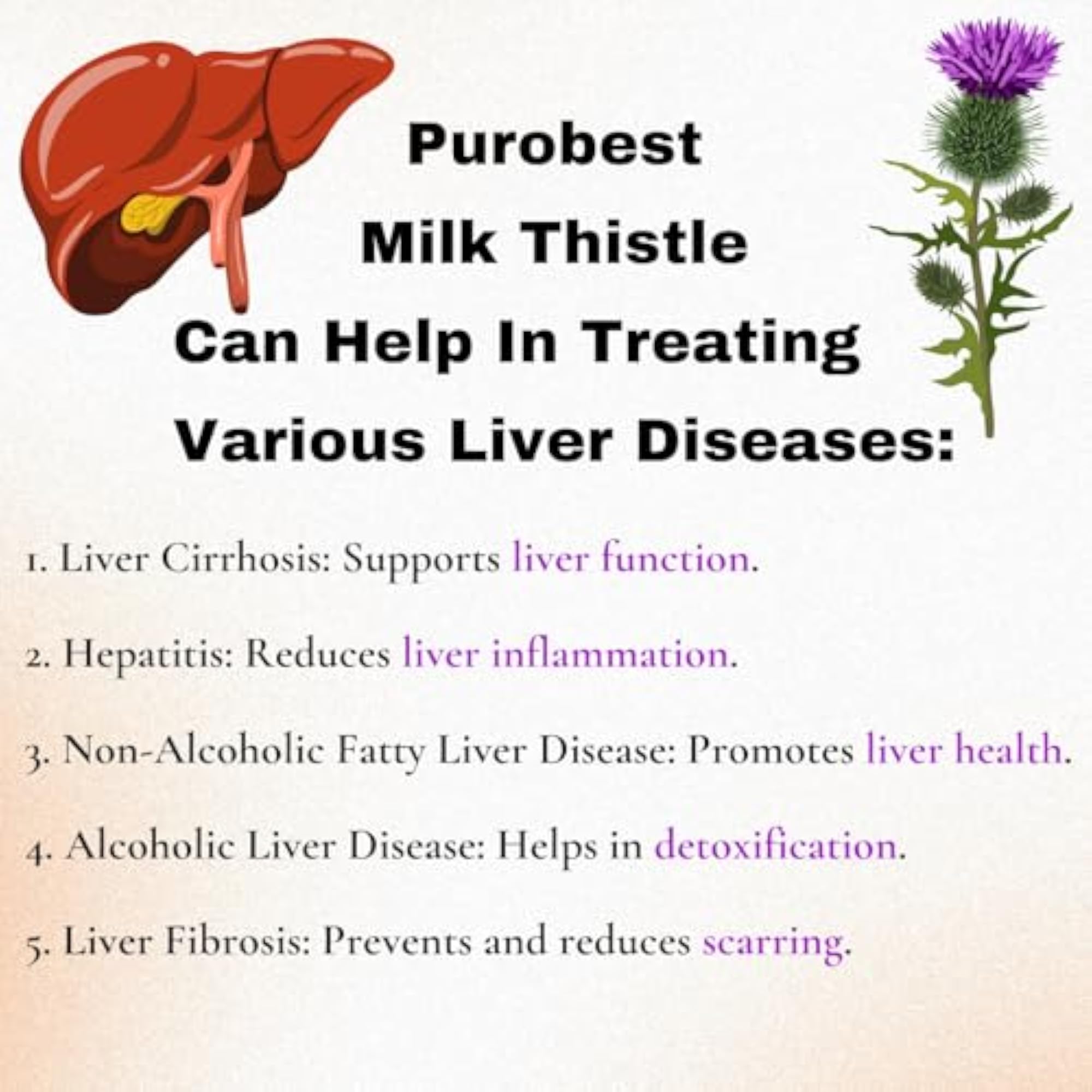 Milk Thistle Extract Capsules, 625mg, 60 Capsules