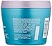 L'Oreal Paris Hair Care Expertise Everpure Repair and Defend Rinse Out Mask, 8.5 Fluid Ounce (Pack of 2)
