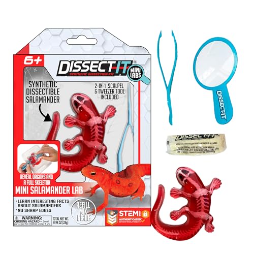 Image of Top Secret Toys Dissect-It Mini Labs Salamander Dissection Kit for Kids, Realistic Synthetic Kids Science Kit - On, Biology and Animal Anatomy, STEM Toy, Ages 6+