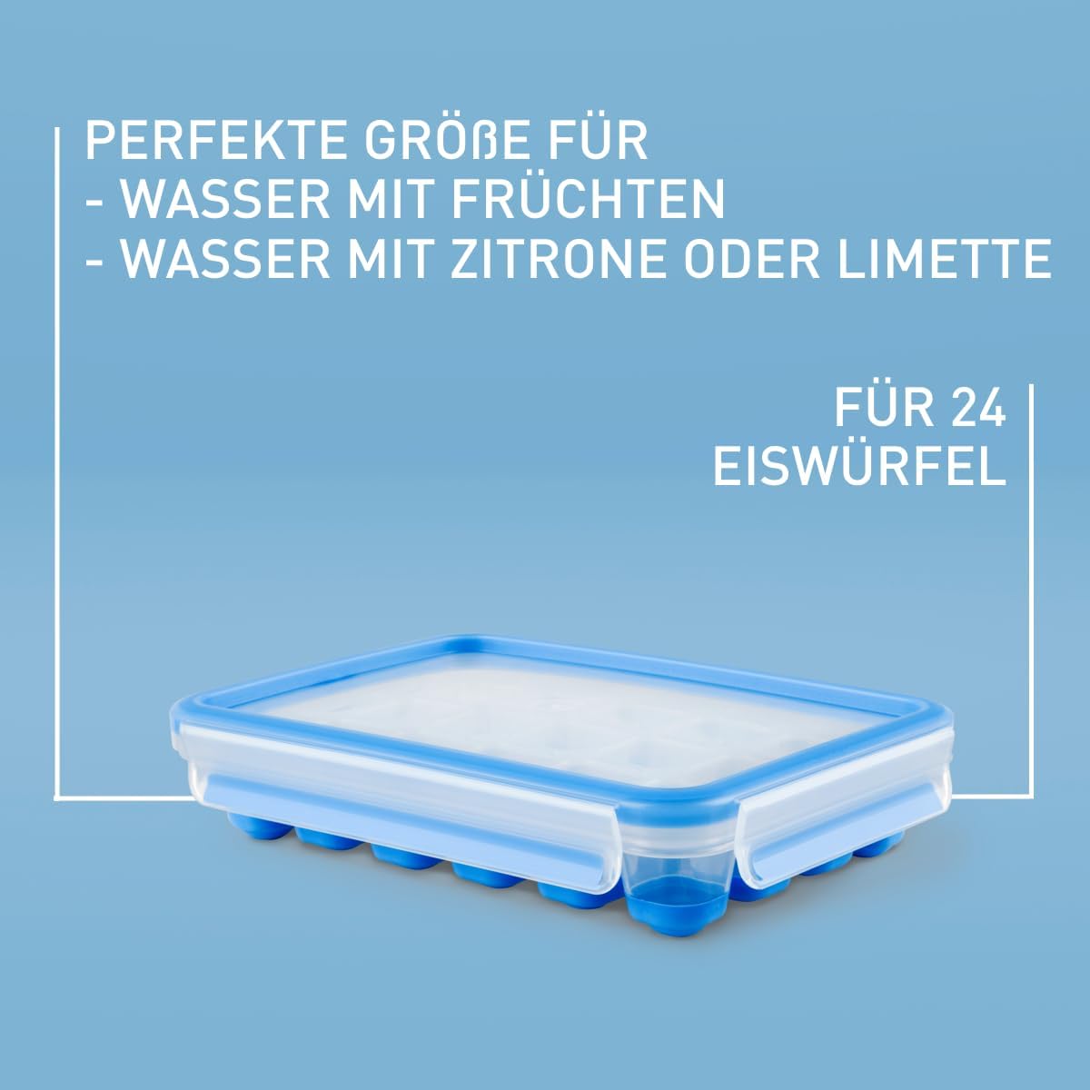 EMSA Clip & Close Frischhaltedose, Eiswürfelform, 22,6 x 16,5 x 4,9 cm, flexibler Boden, A - Analyse des détails et conception