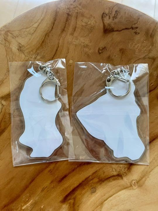 Amazon.co.jp: Mr.Children ミスチル ベストアルバム 特典キーホルダー