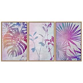 SIGNWIN 3 Piece Framed Canvas Wall Art Colorful...