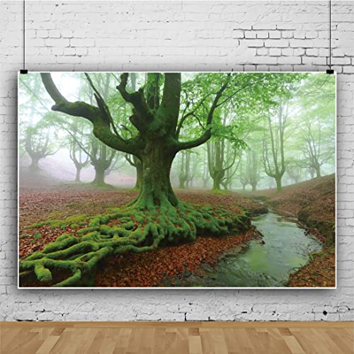 220x150cm Sfondo Fotografico Foresta Tropicale Nebbia Mattutina Alberi Verdi Coperti di Muschio Foglie Decidue