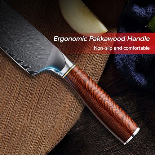hoforife 8"/20cm Chef's Knife, Japanese Damascus Chefs Knife 67 Layers High Carbon VG10 Steel Core with Wood Ergonomic Handle, Gift Box - Image 7