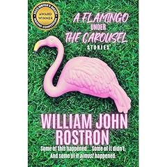 A Flamingo Under the Carousel Audiolibro Por William John Rostron arte de portada