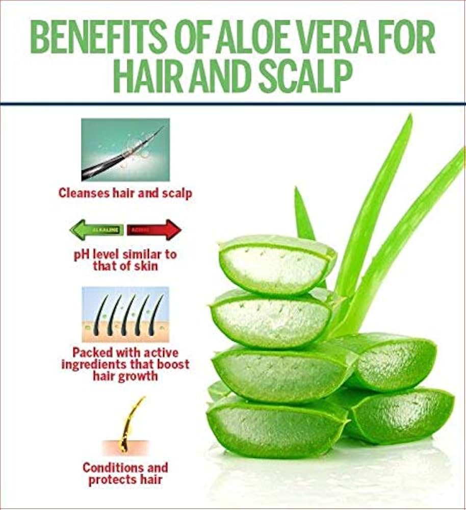KHADI RISHIKESH Herbal Aloe Vera Shampoo - 210Ml Pack : Buy Online at Best  Price in KSA - Souq is now Amazon.sa: Beauty