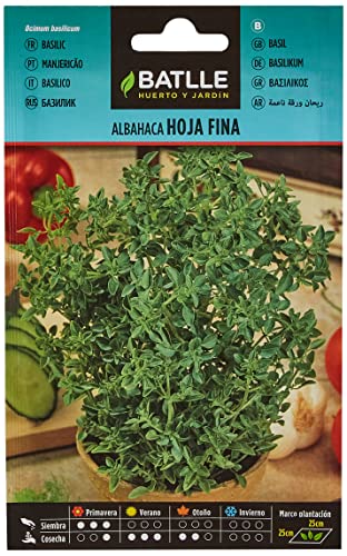 Graines aromatiques de Batlle - Basilic feuille fine (3g)