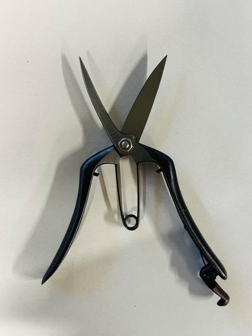 2112様感謝‼️黒猫の降誕祭‼️川内令子『ピエロと黒猫』油彩画99年作