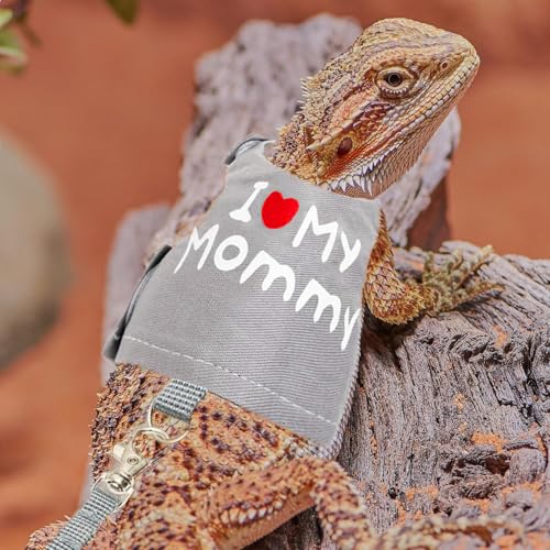 Image of Bearded Dragon Adjustable Clothes Harness with Leash,Bearded Dragon Harness Leash Set for Lizards,Chameleon, Traction Rope Walking Leash Reptile Halloween Costume Accessories