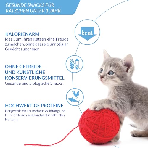 INABA Churu Creamy Snack für Kätzchen mit Omega 3, Taurin, hochwertiges Hühnerfleisch, Katzensnacks Junior 2-12 Monate, Kitten Nassfutter, Einzelzutat, Premium Kitten Leckerlies, 20 x 14g