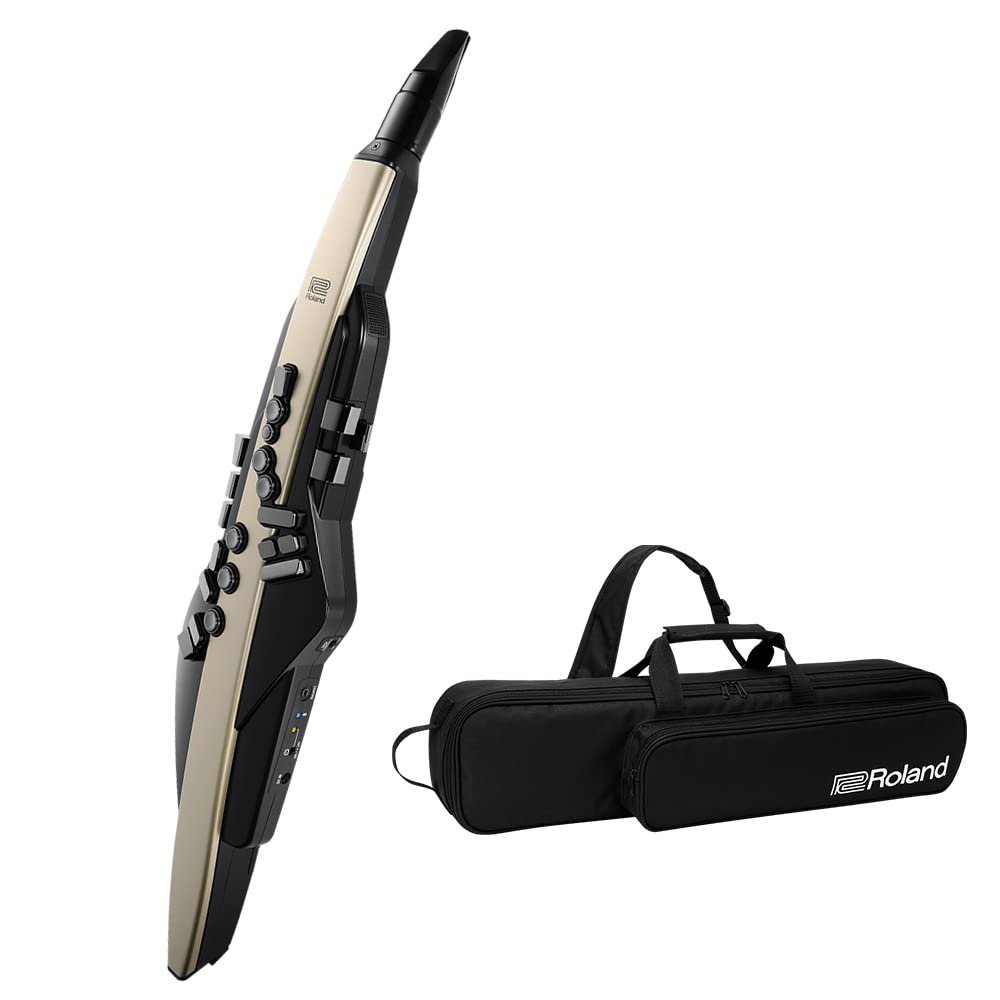 Amazon | Roland AE-20 Aerophone ウィンドシンセサイザー (ゴールド
