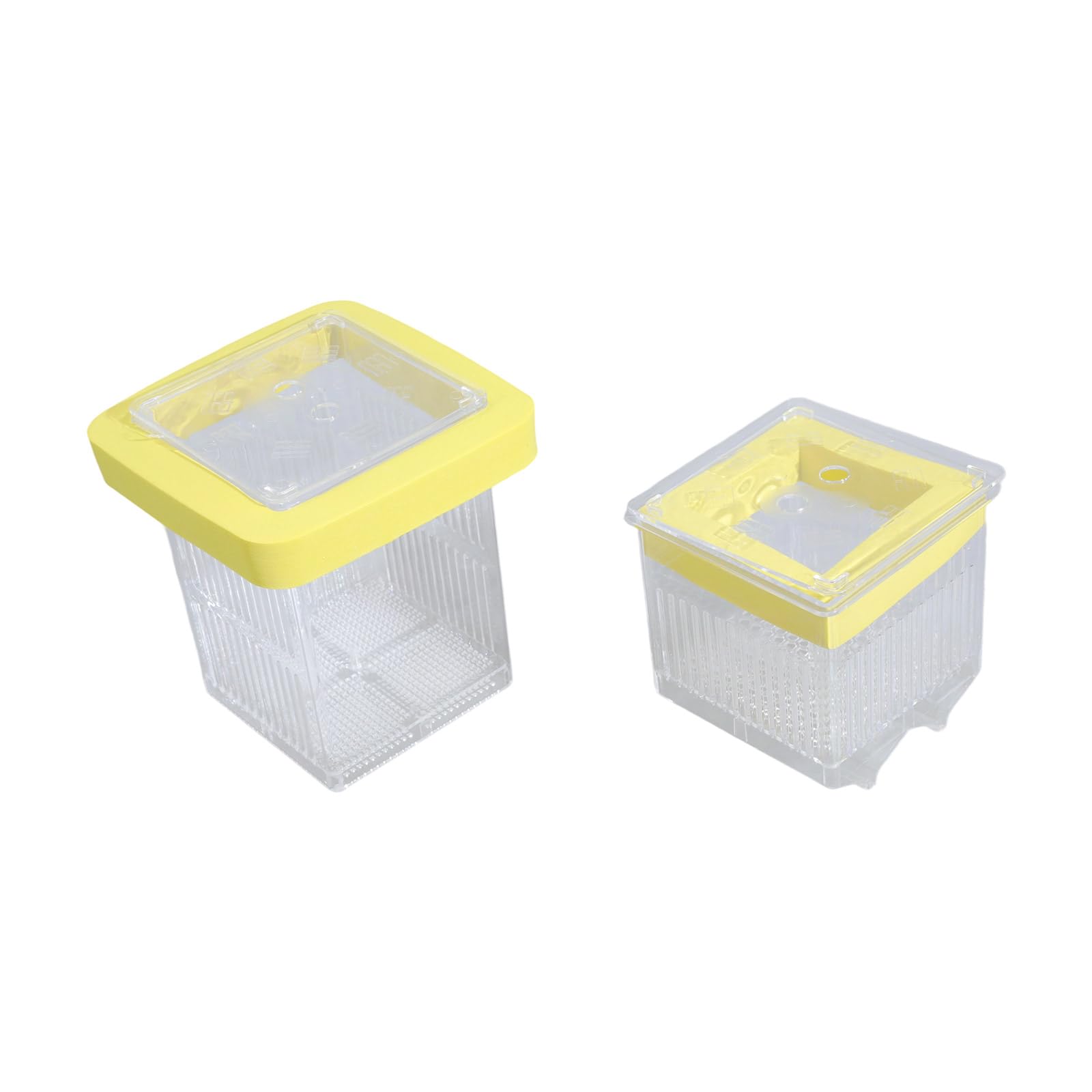 Hsioluted FishTank Hatchery Incubator Aquarium Small Breeding Box Clear Breeder Isolation Hatching Box Double Layer Fish Breeding