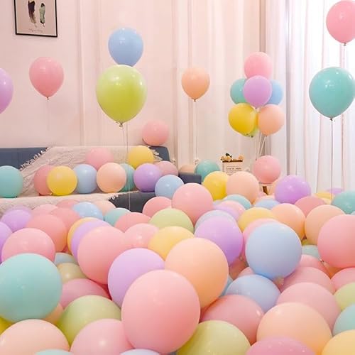 }JJ[ o[ Zbg, pXeJ[ ap[eB[p,  h ebNXD, sN u[ CG[ ~g p[v, Xܑ Cxgp 10100 ()