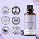 AVD ORGANICS lavendelöl ätherisches öl für haut | 100% reine & natürliche lavendel öl | für Massage, Aromatherapie, Entspannung, Schlaf, Meditation, Diffusorduft |1 fl. Unze