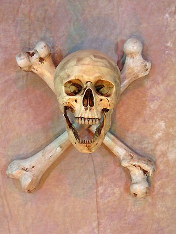 Wall Sconce Skull-Bone Life-Size Skull on Femur Crossbones no Candle