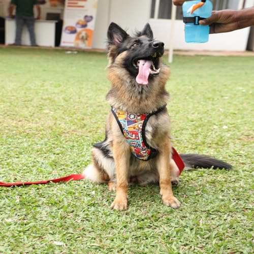 Image of Dog Double Side Padded Harness|Easy Control Handle for Small, Medium & Large Dogs|Adjustable Dog Soft Padded Vest Harness Comes with Leafy Design Color for Large Size Dogs
