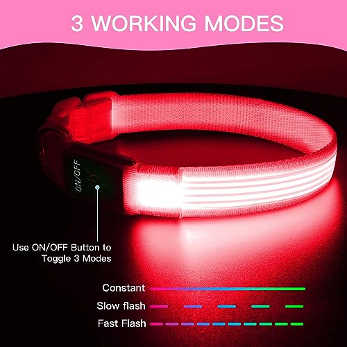 YFbrite Light up Dog Collar, USB Rechargeable LED Pet Collar, Flashing Night Visibility Neckwear - Image 2