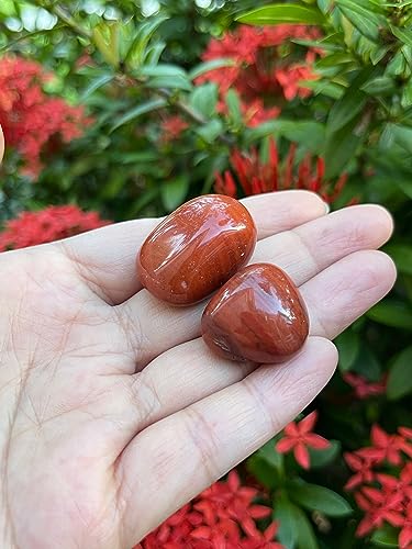 Image of GAF TREASURES 1 /2 LB Red Jasper Tumbled Stones, Polished Red Jasper Gemstone, Red Jasper Healing Crystals (Red Jasper)