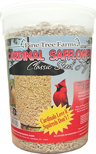 Cardinal Safflower Classic Seed Log 72 oz