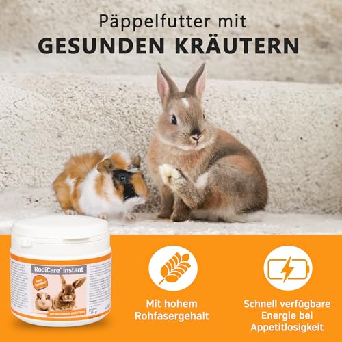 Alfavet RodiCare instant Päppelfutter für geschwächte appetitlose Zwergkaninchen, Meerschweinchen, Kleinnager, Alleinfuttermittel mit gesunden Kräutern, 170 g mit Dosierlöffel