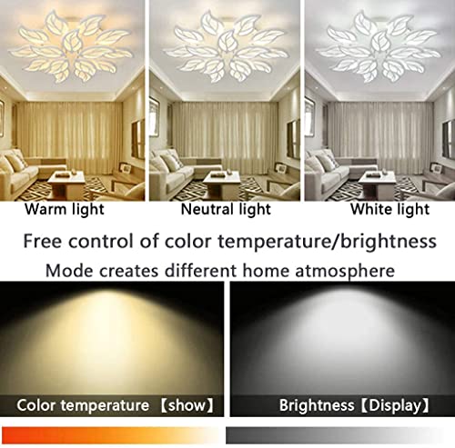 Plafonnier LED fleur en acrylique haut de gamme lustre salon 55cm - 6