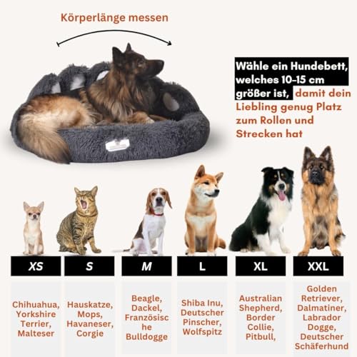 pfoten&nasen® Wolke 7 Hundebett S [Beige, 65 cm] – Flauschiges Donut-Kissen für kleine Hunde & Katzen – Waschbar mit abnehmbarem Bezug