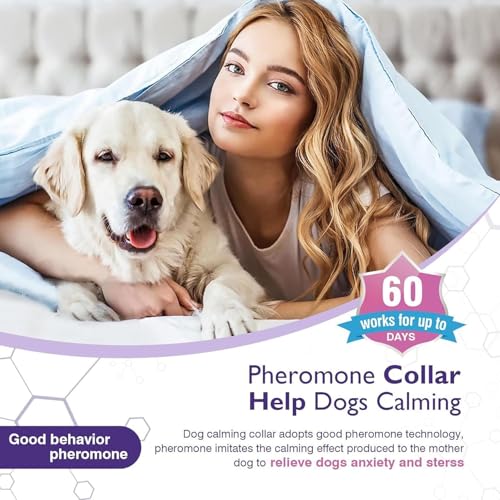 Pheromon-Halsbänder für Hunde, 3er-Pack, beruhigende Halsbänder für kleine, mittelgroße und große Rassen, reduziert und schlechtes Verhalten, langanhaltender 60- -Komfort