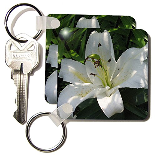 Porte-clés fleur lys blanc 3dRose lot de 2 accessoires de sac 6cm