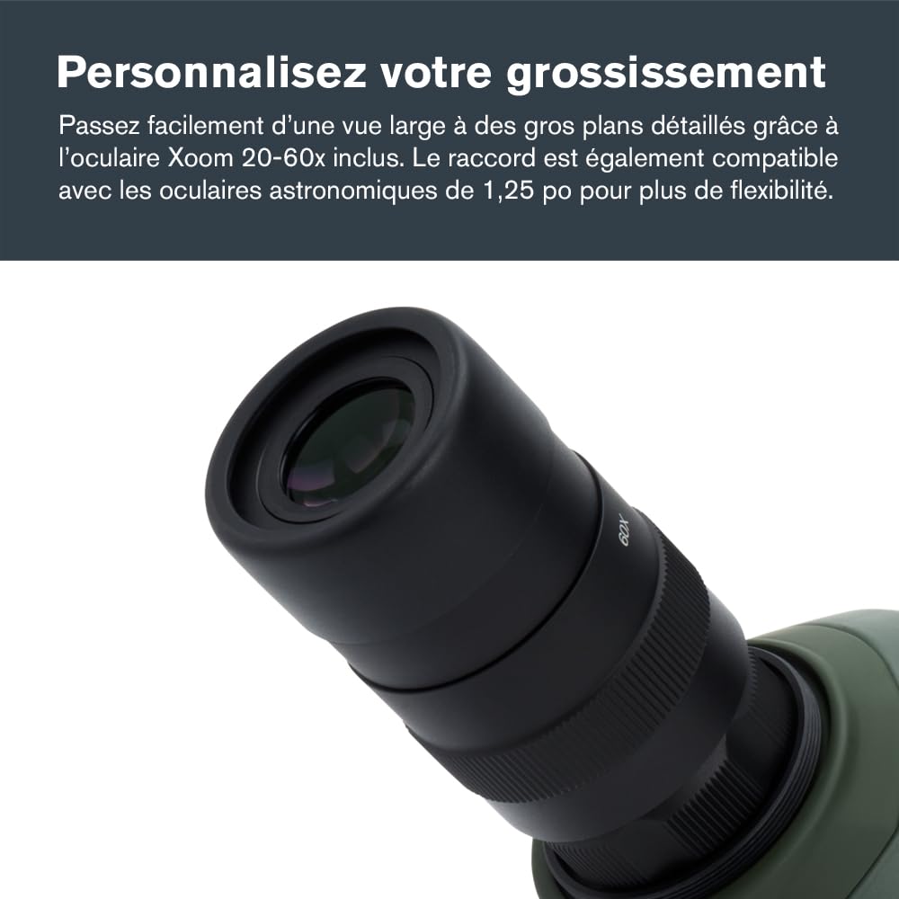 Celestron Regal M2 Spotting Scope Telescope