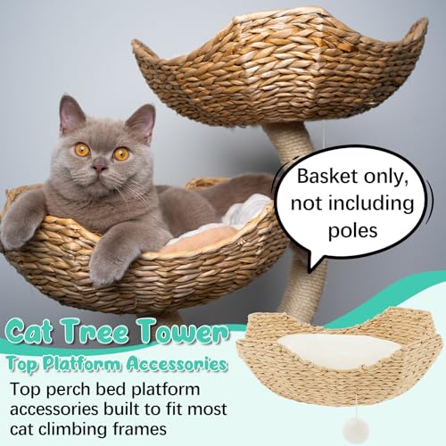 Dansydaisy Set de 3 Accesorios para Árbol de Gato 18" miniatura 5