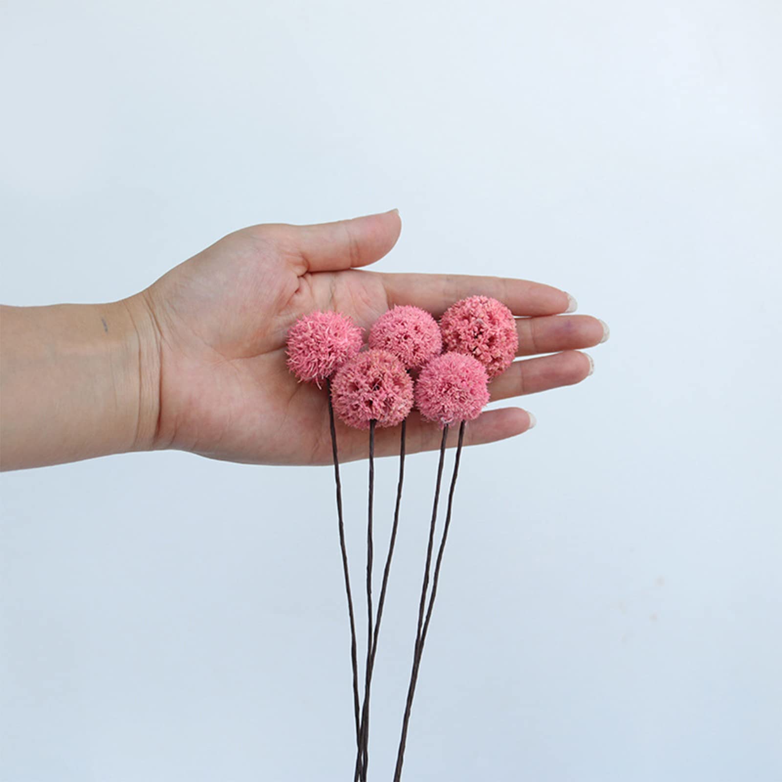 20 Stück Getrocknete Craspedia Billy-Knöpfe In Rosa – Künstliche Blumen Für DIY-Deko, Hochzeit, Vasen & Wand
