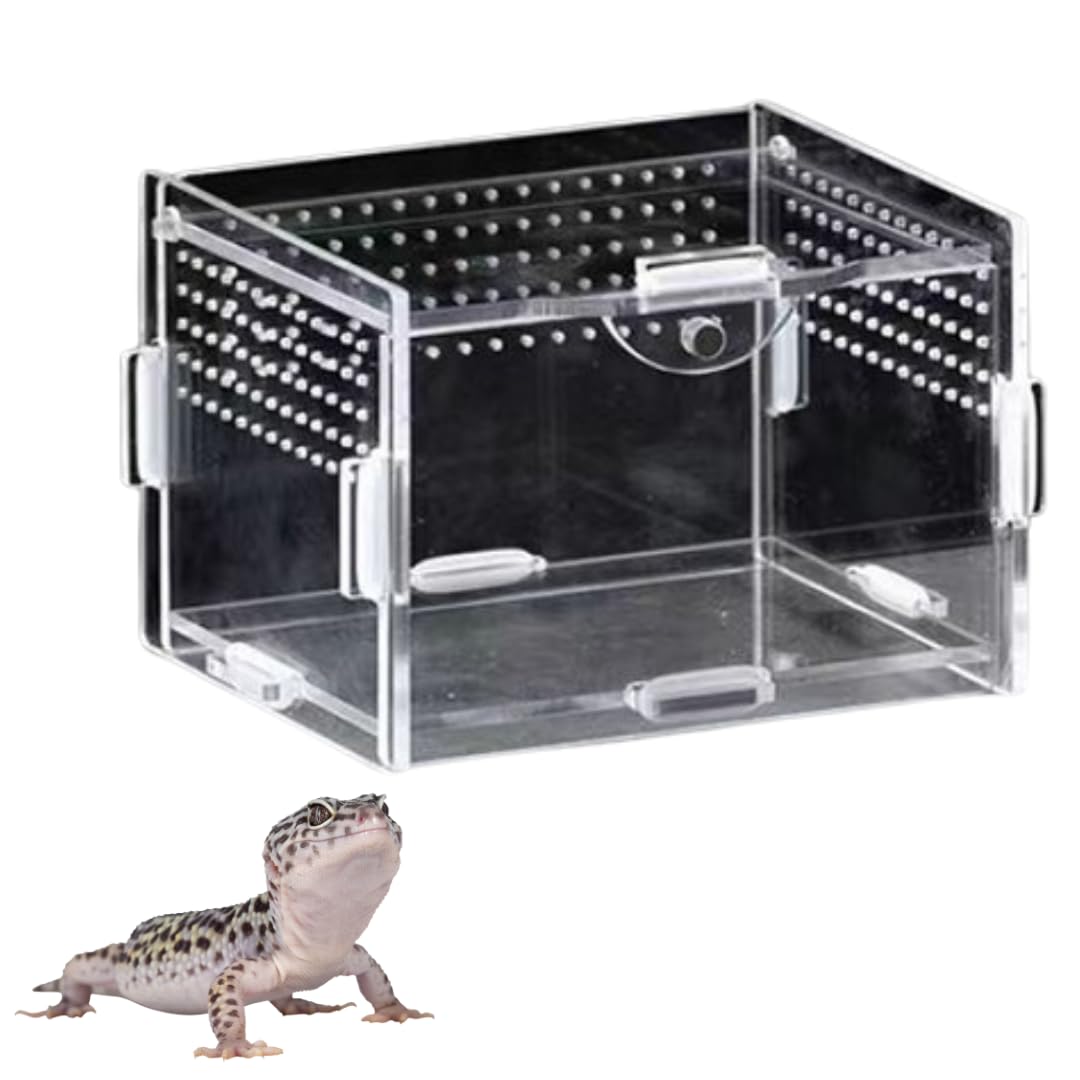 爬虫類飼育ケージ2個と付属品セット Amazon | ateena 爬虫類 ケージ 飼育ケース 水槽 レプタイル 飼育