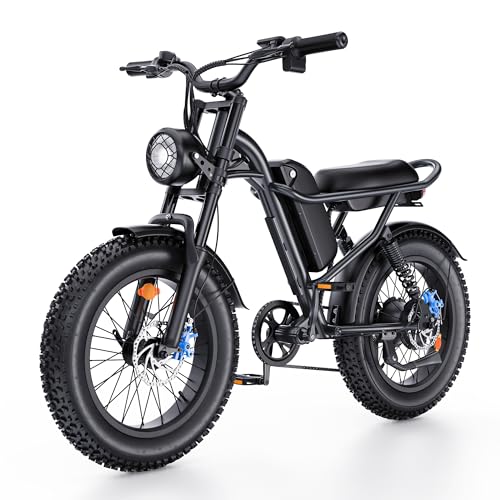 1000W Full Suspension All-Terrain E-Bike