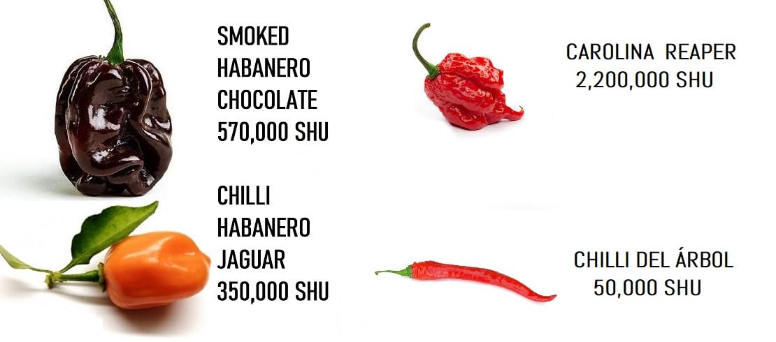 Jaguar, Carolina Reaper y Arbol chile en un cubo tribox de haya con lados redondeados con 3 ampollas de 6gx2g+2g.