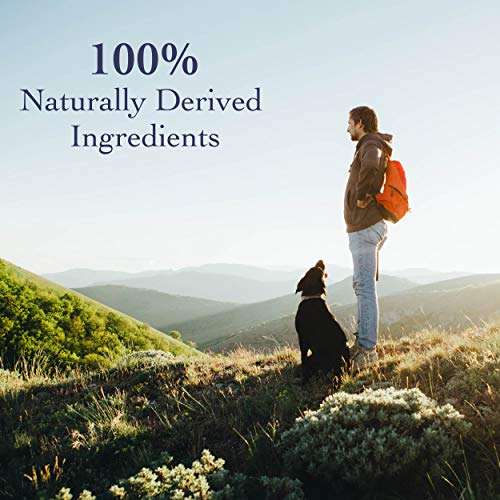 Richard’s Organics Flea and Tick Shampoo for Dogs 100 AllNatural Actives Kills Fleas, Ticks