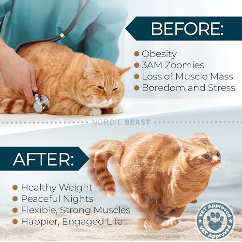 Image of Nordic Beast 48'' XL Cat Wheel - Safe, Quiet & Stable Exercise Wheel for Large Indoor Cats up to 45 lbs - 15.7'' Extra-Wide Surface Fits 2 Cats Side by Side & Prevents Wobbling, 1-Year Warranty