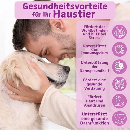 PETSUPLUS Probiotika Hund, 120 Kautabletten, Dogs Hunde Nahrungsergänzungsmittel mit Flohsamenschalen, Repariert die Darmflora & schützt das Immunsystem, Kur Gegen Durchfall Erbrechen und Sodbrennen