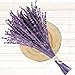 Dried Purple Lavender Flowers Bundle-Dried Preserved Lavender Bouquet 15-17