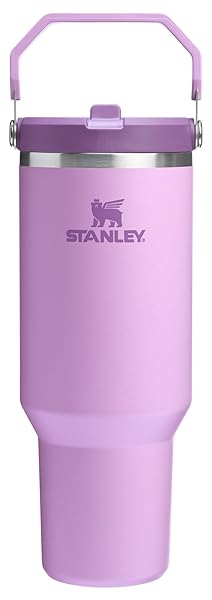 Stanley IceFlow Flip Straw Tumbler with Handle | Twist On Lid and Flip Up Straw | Leak Resistant Water Bottle | Insulated Stainless Steel | BPA-Free