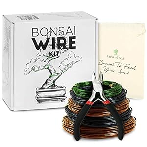 Leaves and Soul Bonsai-Trainingsdraht-Set, 5 Rollen